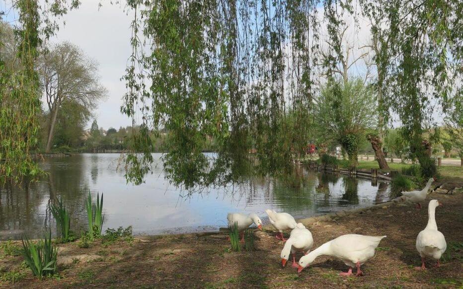 Le Clos des Marais de Fontenay Extérieur photo
